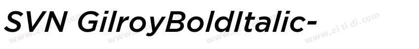 SVN GilroyBoldItalic字体转换